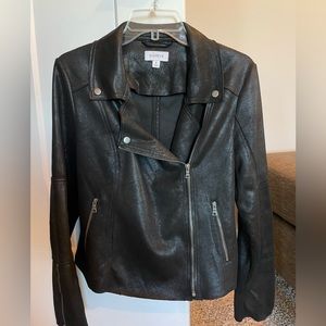 Evereve Maren Moto Jacket